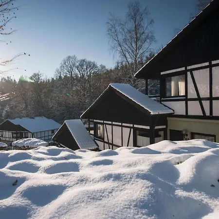 Hébergement de vacances Ferienhaus Ahorn 5 - #127707